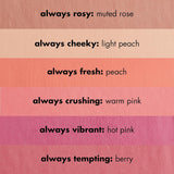 Primer-Infused Blush, Lunga Tenuta, Opaco, D’Impatto, Leggero, Facile Da Sfumare, per Contornare Le Guance, Always Cheeky, Resiste Tutto Il Giorno, 10 G